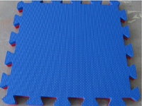 1m X1m Multi Color Interlocking EVA Foam  Floor Mats with SGS certificate